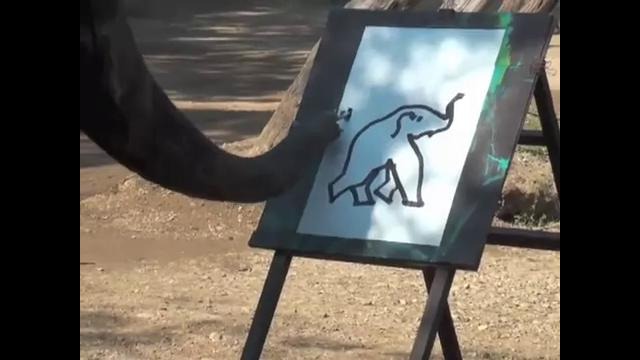 Человек и звери – Часть 3