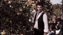 Dolce & Gabbana: Dolce (режиссерская версия)