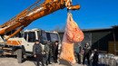 190 KG FATTEST SHEEP! THIS MOSHKICHIRI WILL GO DOWN IN HISTORY – NO ONE HAS EVER EATEN THIS