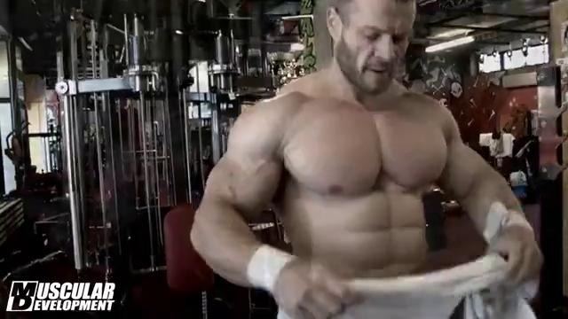 Stefan Havlik WingsOfStrength