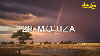 29 mo’jiza: Yogʼdagi baraka