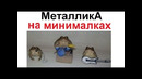 Лютые приколы. Металлика на минималках
