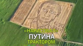 Итальянский фермер нарисовал Путина трактором и плугом