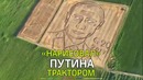 Итальянский фермер нарисовал Путина трактором и плугом