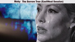 Moby ft. EastWest Session – The Sorrow Tree (Official Video 2018!)