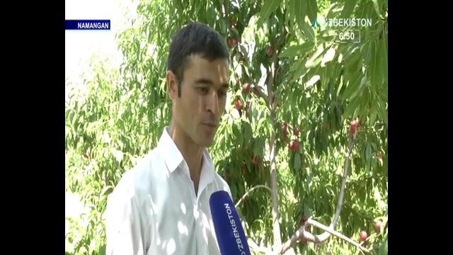 Узбекистан-Террасы Мачу-Пикчу