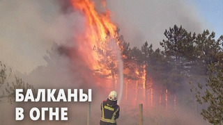 Албания, Хорватия, Болгария и Северная Македония борются с огнём в пик туристического сезона