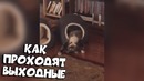 (BugagaTV) Приколы и Фейлы 2018 Апрель / Wins & Fails April 2018 (Part 8)