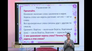 22 Русский язык и читательская грамотность 2 класс