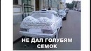 Лютые приколы. Лягушка качок синтольщик