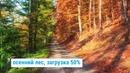 30 Удивительных Снимков Мира Без Грамма Фотошопа