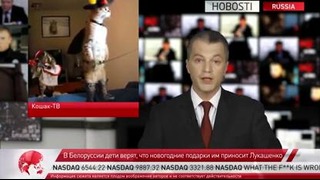 HOBOSTI: Скандал: Онищенко против Фурсенко