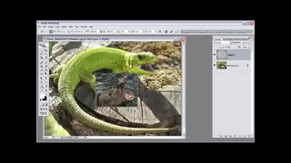 PhotoshopLes – Morphing Creatures. Part 01 (eng)