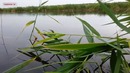 Для ценителей рыбалки(поплавок)