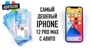Авитолог: самый дешевый iPhone 12 Pro Max с Авито – обман и страдания