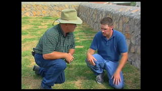 How To Install A Sub-Surface Drip Irrigation System
