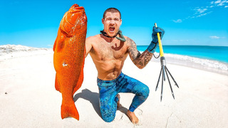 Catch And Cook VS 2 Ocean Hunters