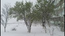 Снег 30го Марта в Фергане