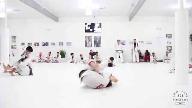 Art of Jiu Jitsu Training Highlights