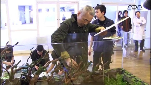 Takashi Amano |ADA view| 2m 40cm aquarium tank