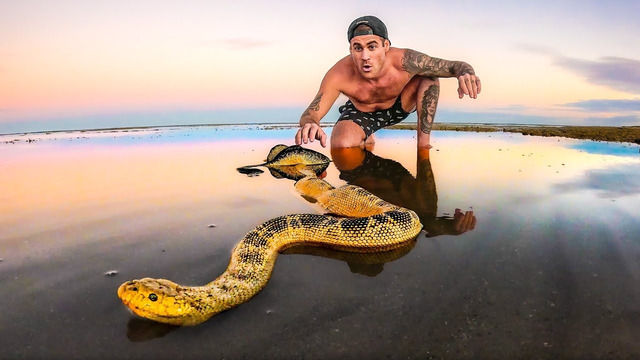 Exploring For Sea Animals In Tide Pools