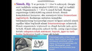 Noorganogen toksik elementlar