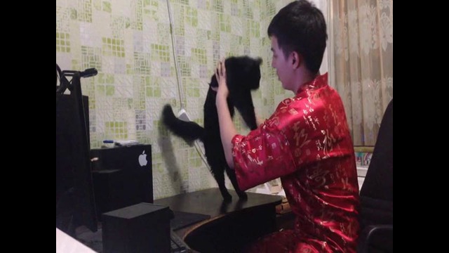 Кузя съел Фонарик