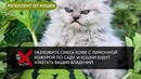 12 Необычных Способов Применения Кофе