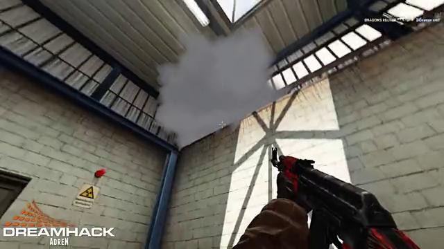 CS:GO – Astana Dragons at DreamHack Winter 2013 (Highlights)