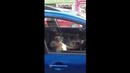 Собака устала ждать