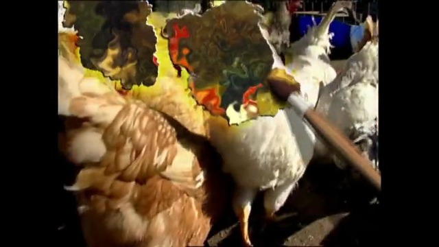 Baby Einstein – Baby MacDonald Full Episode