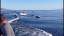То, что произошло с этой девушкой — настоящий природный феномен