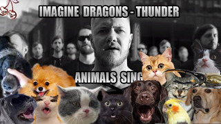 Imagine Dragons – Thunder (Animal Cover)