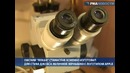 Apple на яблочном зернышке, или Подарок Стиву Джобсу от омского "левши&quot