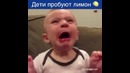 Дети пробуют лимон