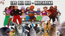 Los Del Rio – Macarena (Animal Cover)