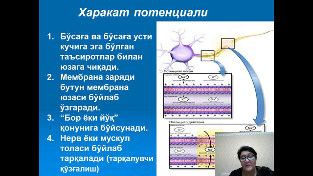 Физиология
