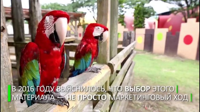 В Японии построили отель, в котором не страшно пережить землетрясение