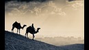 Siyrat fani | 1-Dars | Kirish
