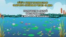 Математические Загадки, Которые Поставят в Тупик Всех Ваших Друзей