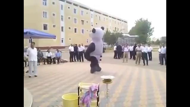 Панда танцует