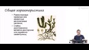 Биология Биология – Подготовка к ЕГЭ 2017 – Ботаника Высшие споровые растения