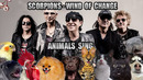 Scorpions – Wind Of Change (Animal Cover)