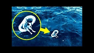 В 1961 году эту девочку нашли в открытом море