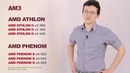 Всё о процессорах AMD – какой процессор выбрать