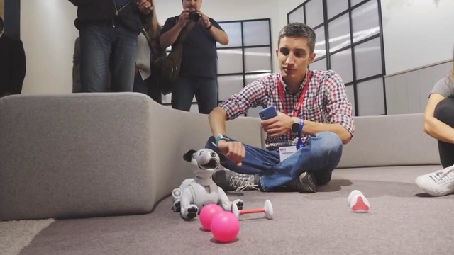 Sony сделала собаку-робота за 200 000 руб