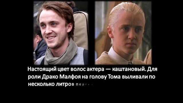 Интересные факты: Драко Малфой – Том Фелтон