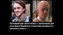 Интересные факты: Драко Малфой – Том Фелтон