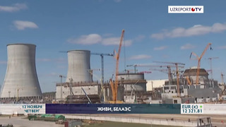 Производство электроэнергии на БелАЭС временно приостановлено