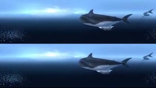 Видео для VR (подводный мир)